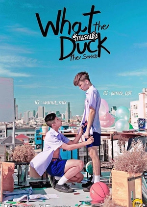 What the Duck The Series